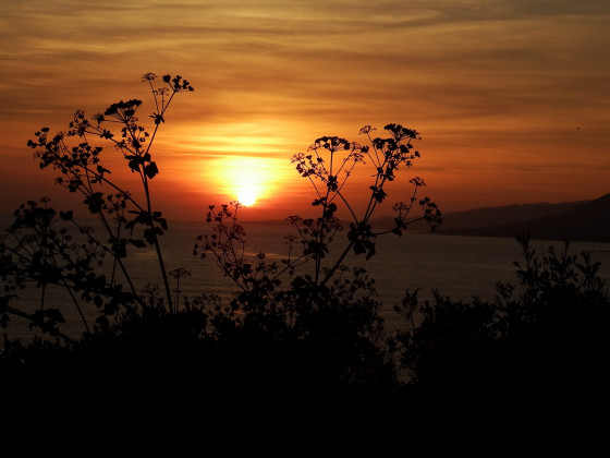 Sonnenuntergang am Golf von Valinco
