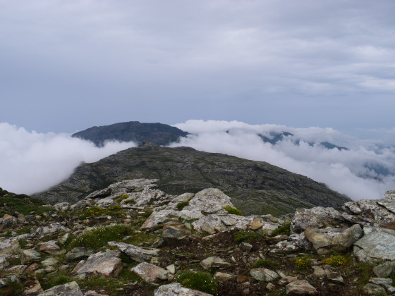 über den Wolken am Monte Stello