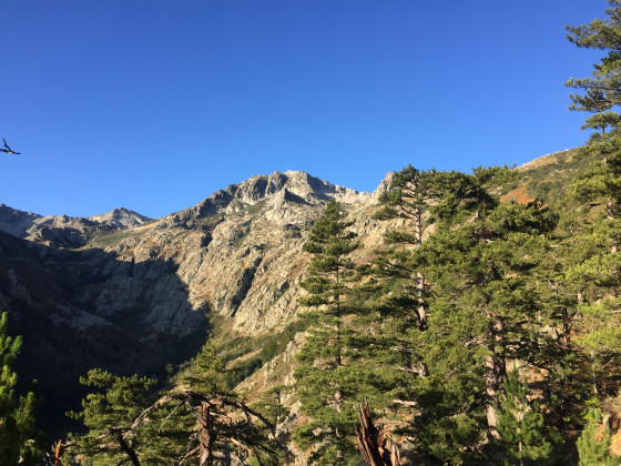 Monte Renoso | September 2017