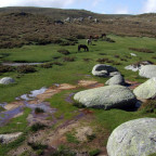 Plateau du Coscione