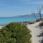 Auf dem Weg nach Saint Florent