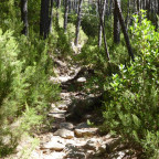 14 unvergessliche Tage